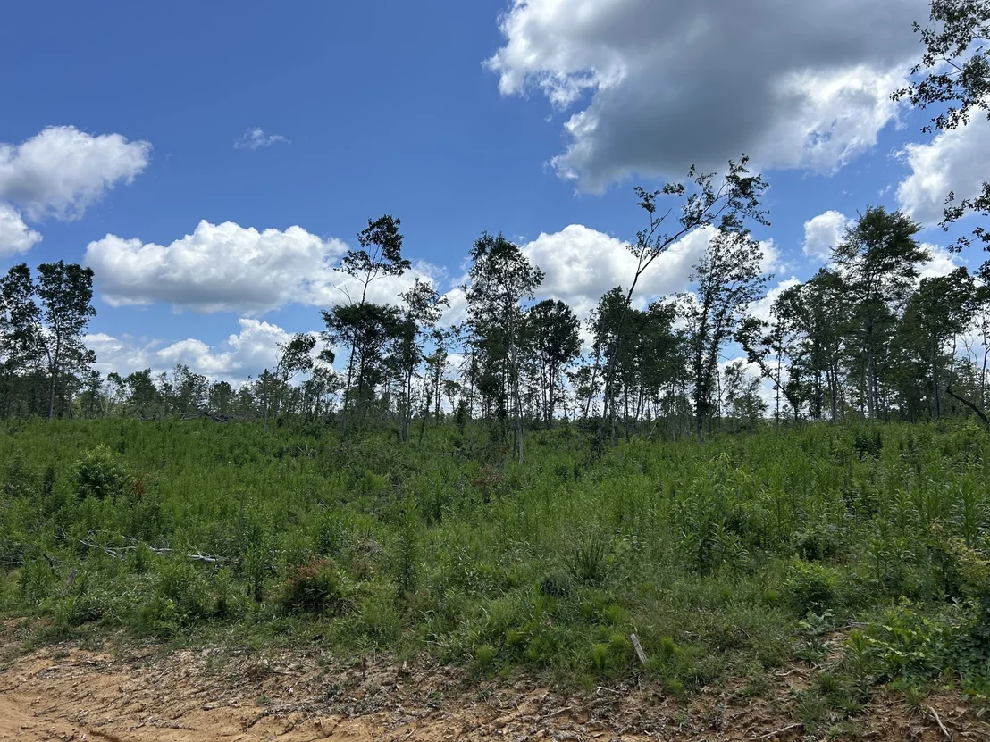 Photo of 0 Wynn Rd