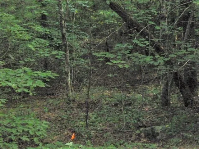 Photo of 138 Anatole Pass