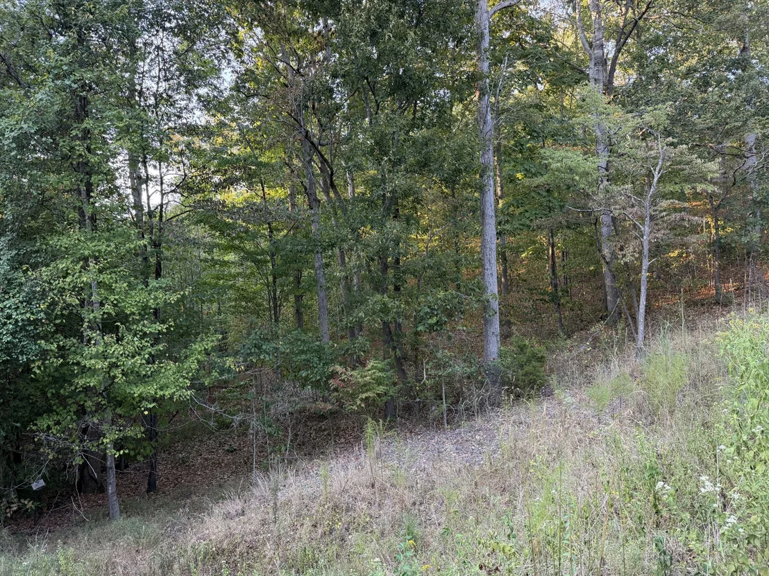 Photo of 0 Magnolia Lane