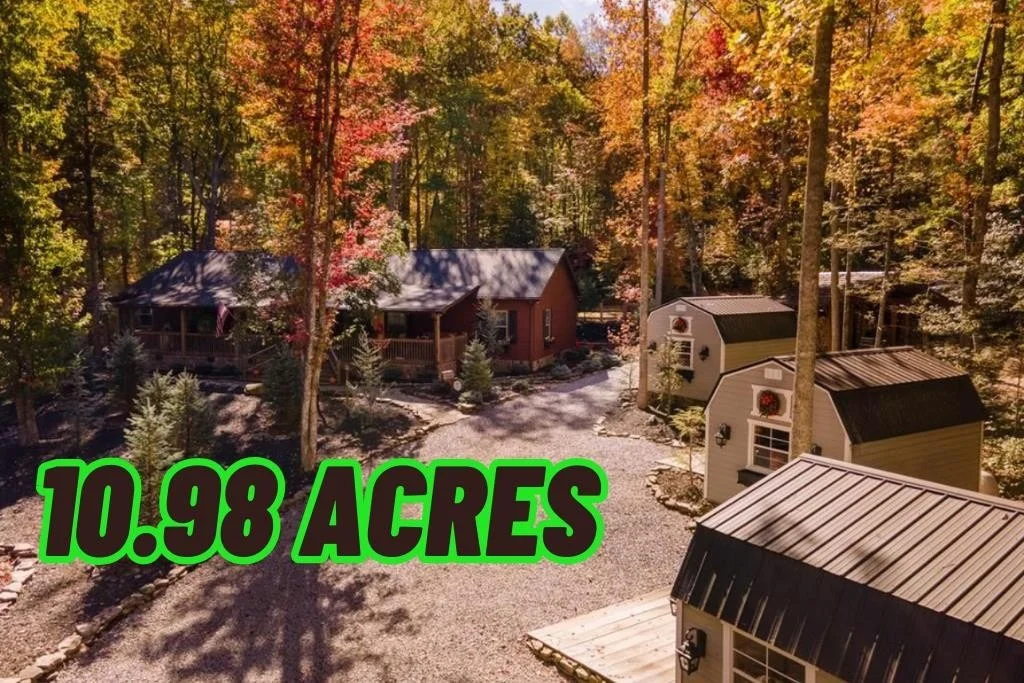 Photo of 3950 Forest Trail Drive