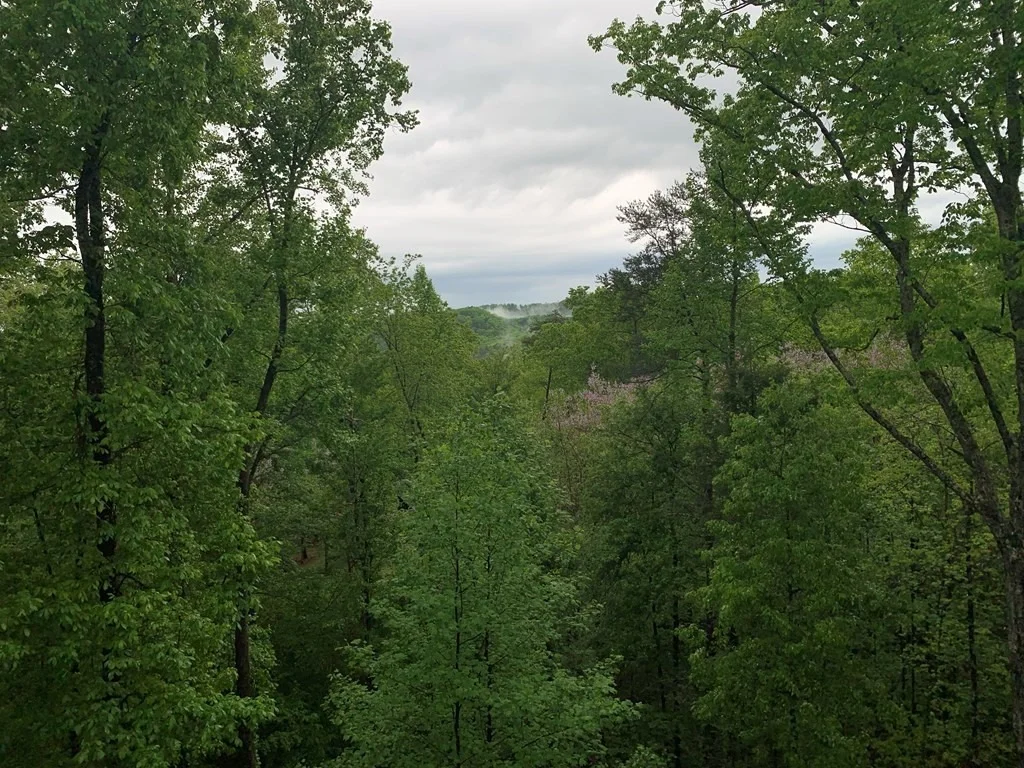 Photo of 0 Cloud View Drive