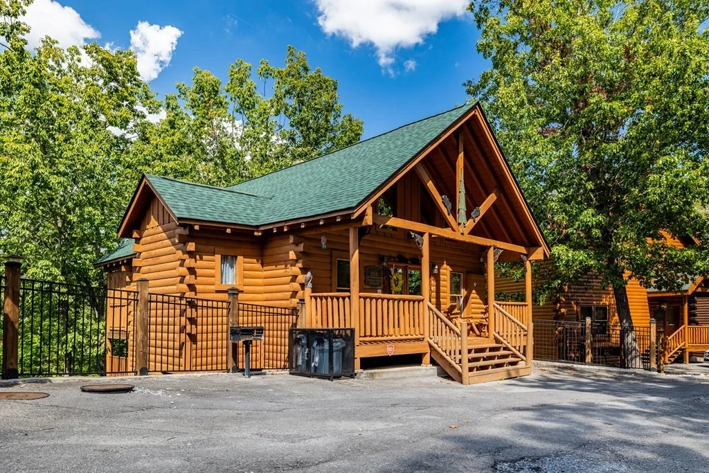 Photo of 854 Black Bear Cub Way