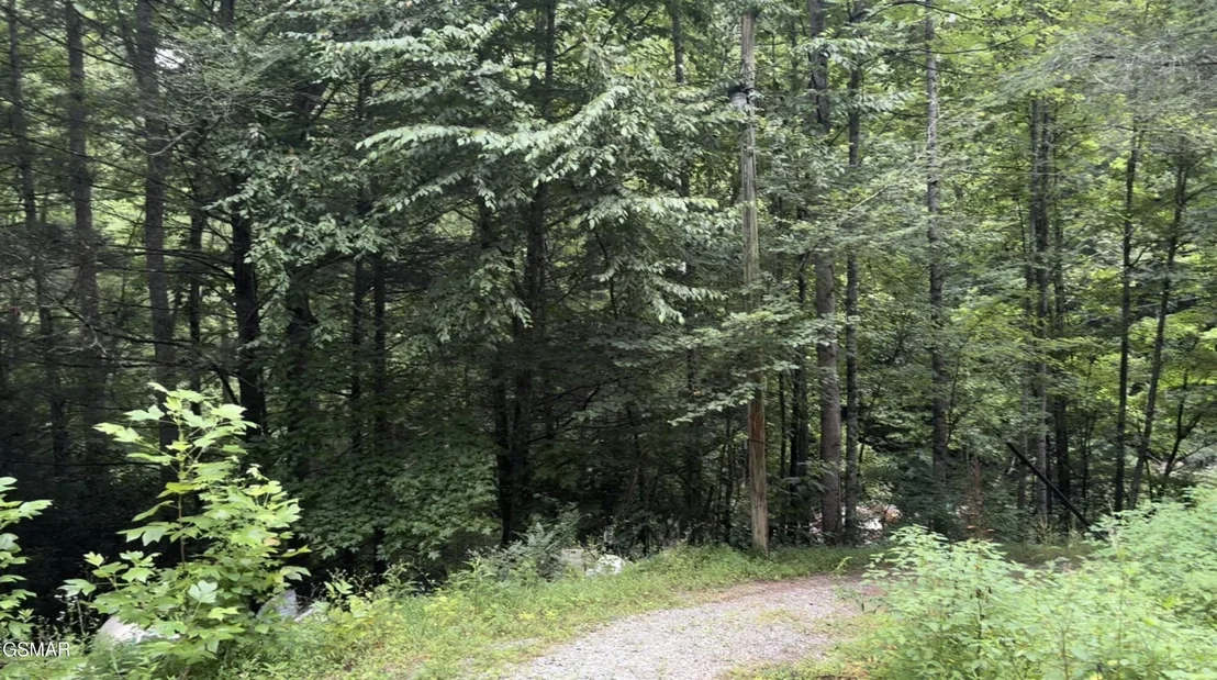 Photo of 1210 Laurel Lick Road