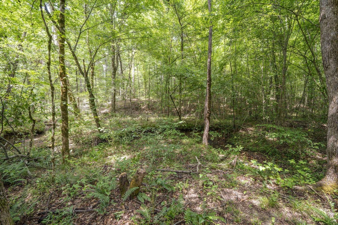 Photo of 311 DEW DROP RD