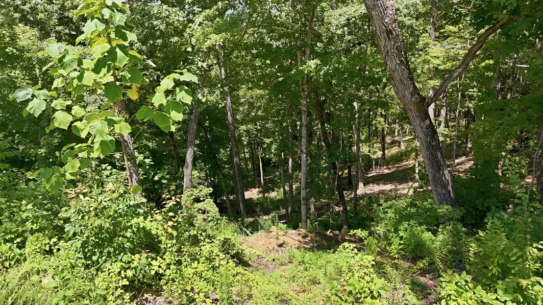 Photo of 103 Ridgeline Trl