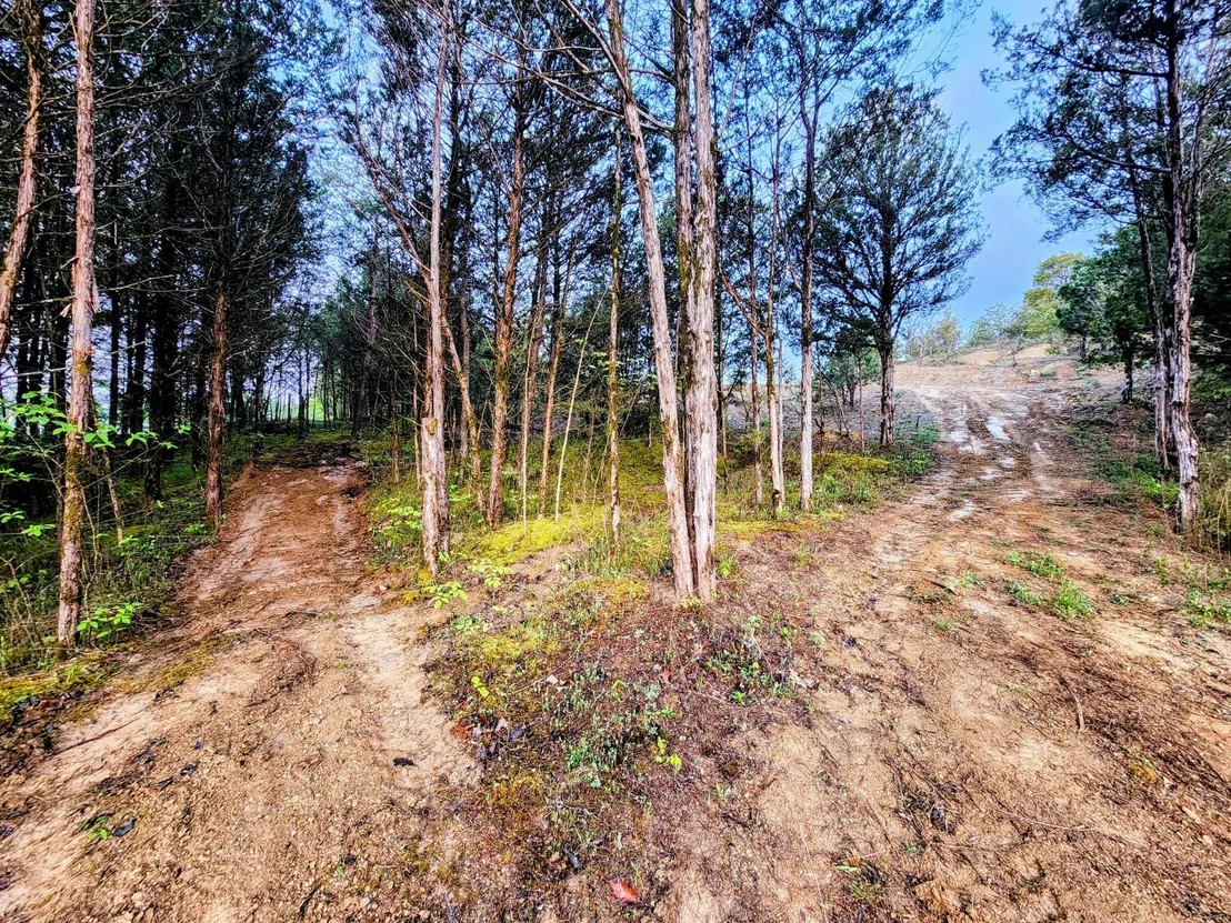 Photo of 702 Driftwood Circle
