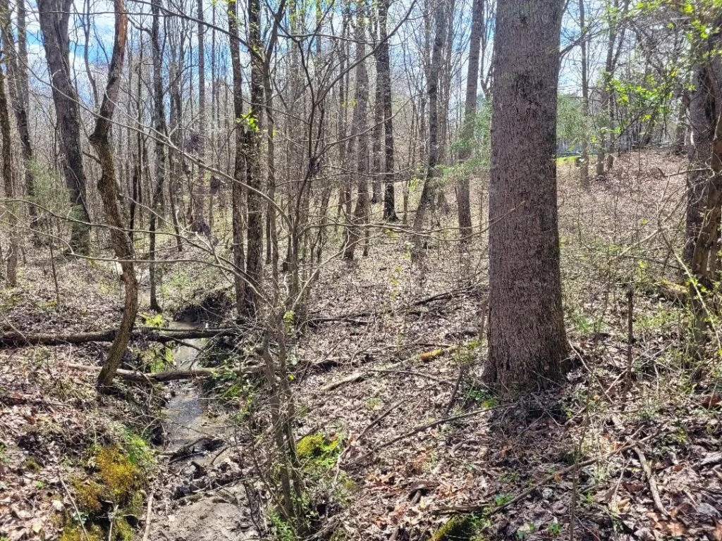 Photo of 1135 County Road 750