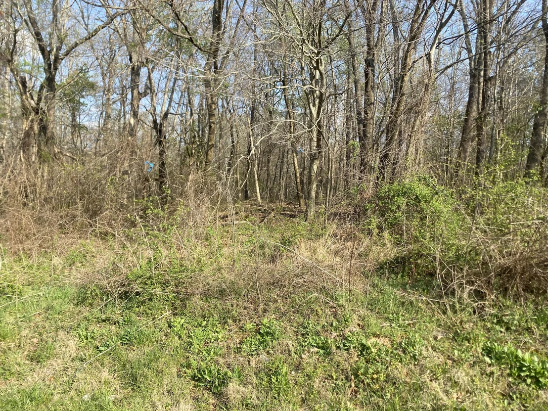 Photo of 0 Mountain View Drive
