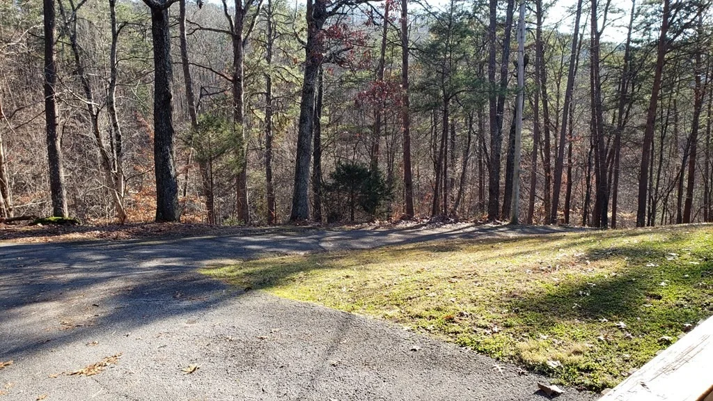 Photo of 2905 Caughron Mountain Road
