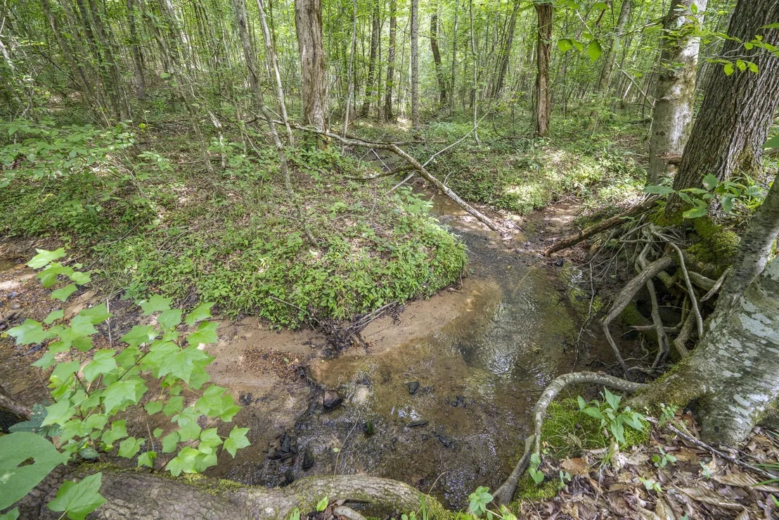 Photo of 311 DEW DROP RD