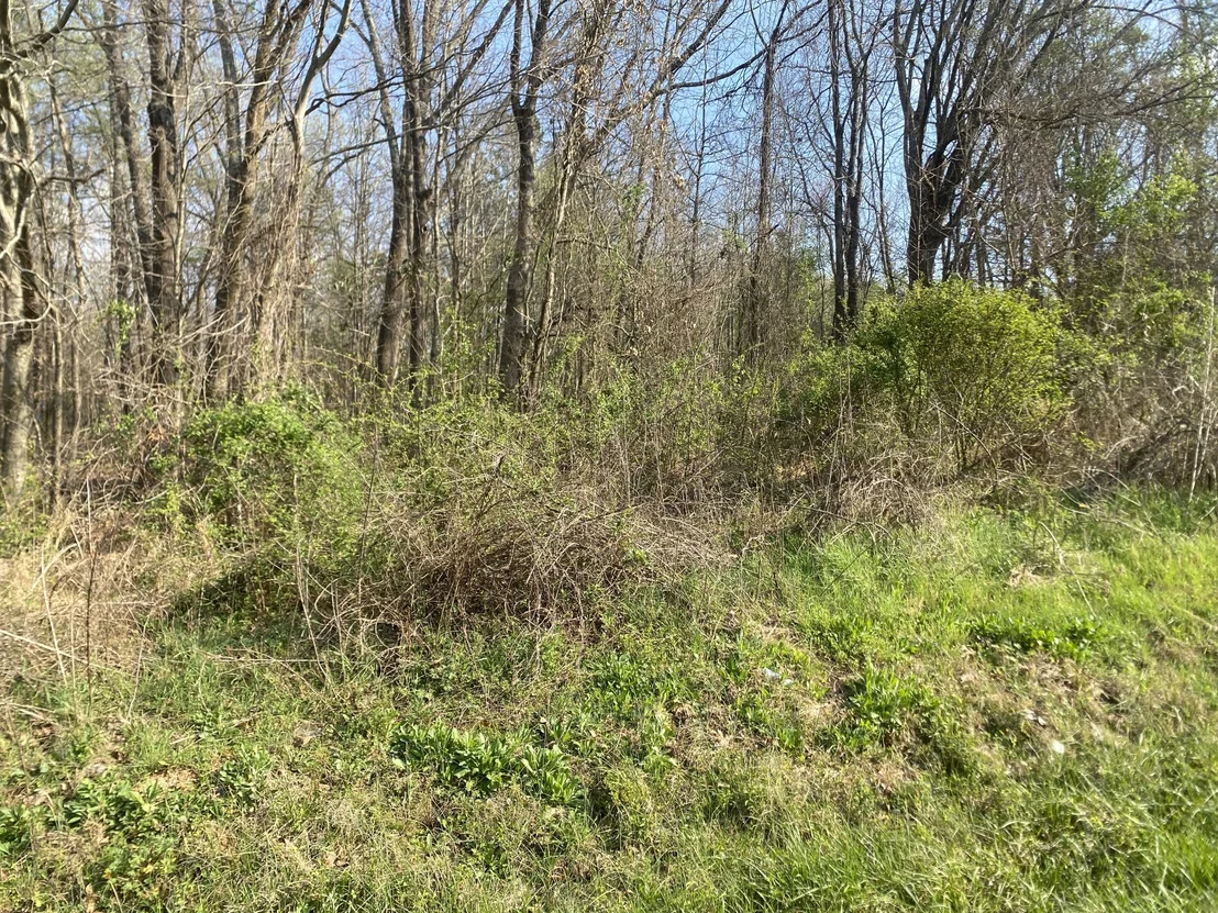 Photo of 0 Mountain View Drive