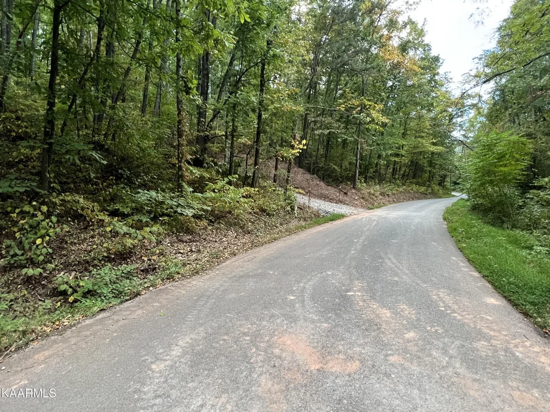 Photo of 2065 Dyer Hollow  Rd