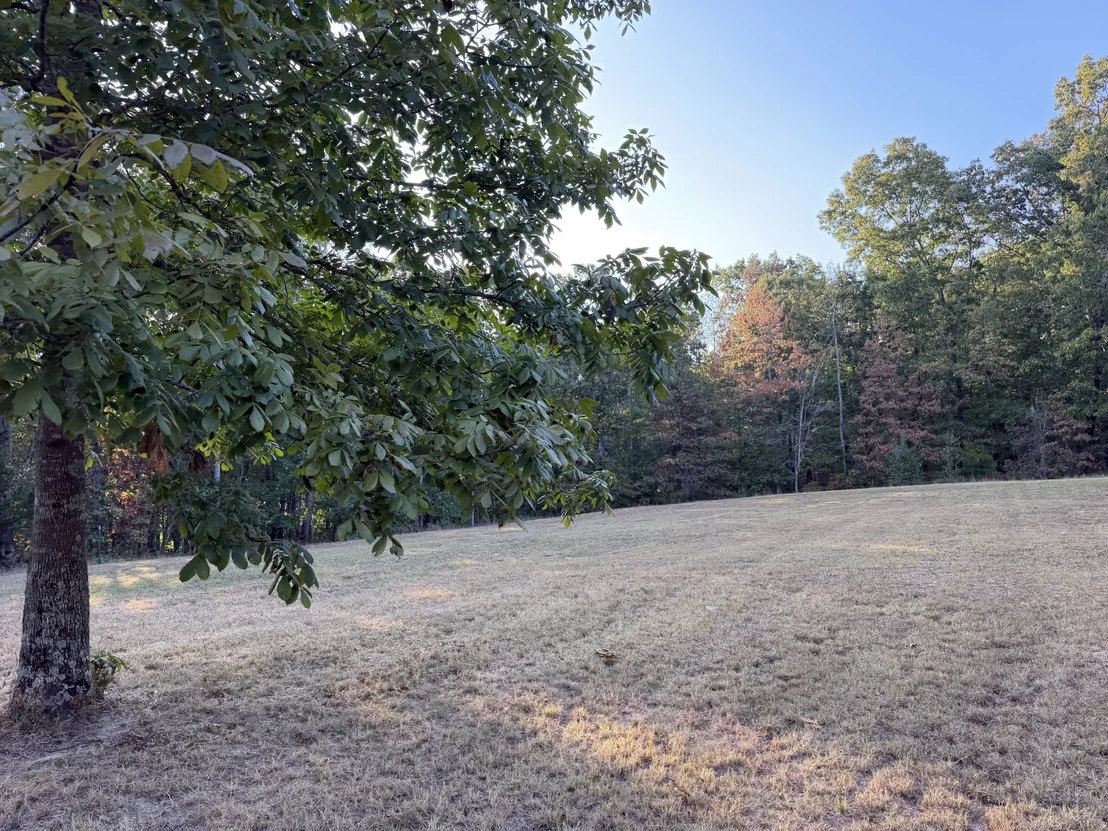 Photo of 0 Magnolia Lane