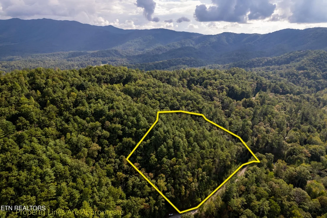 Photo of 803 Tanasi Trail