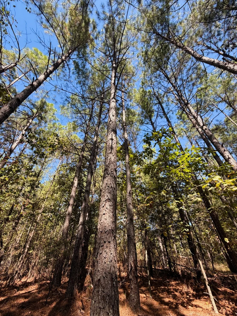 Photo of 0 Coy Hill Rd