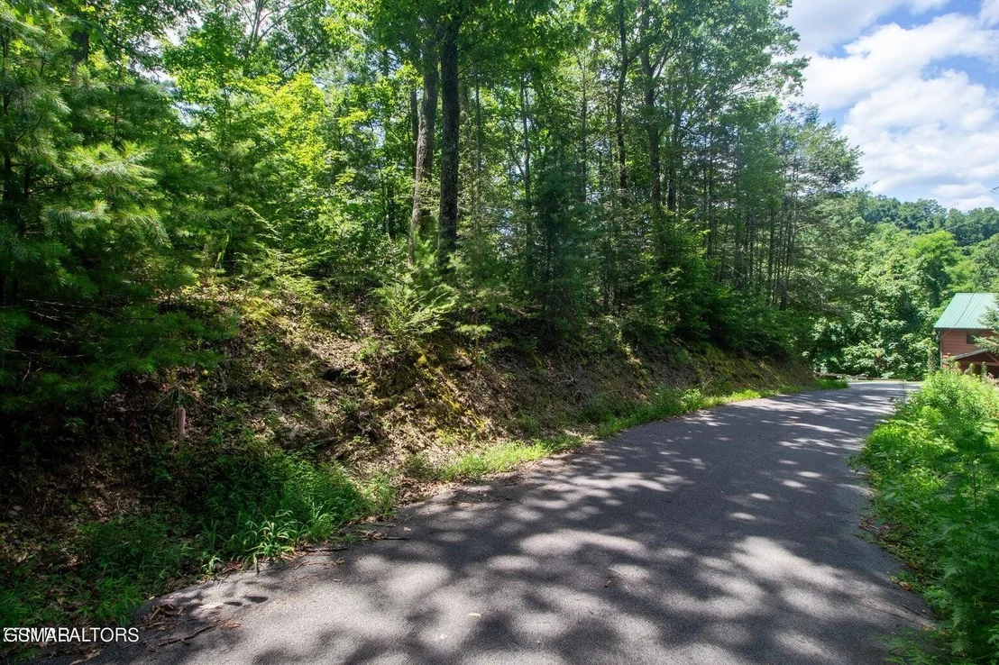 Photo of 13 High Top Loop