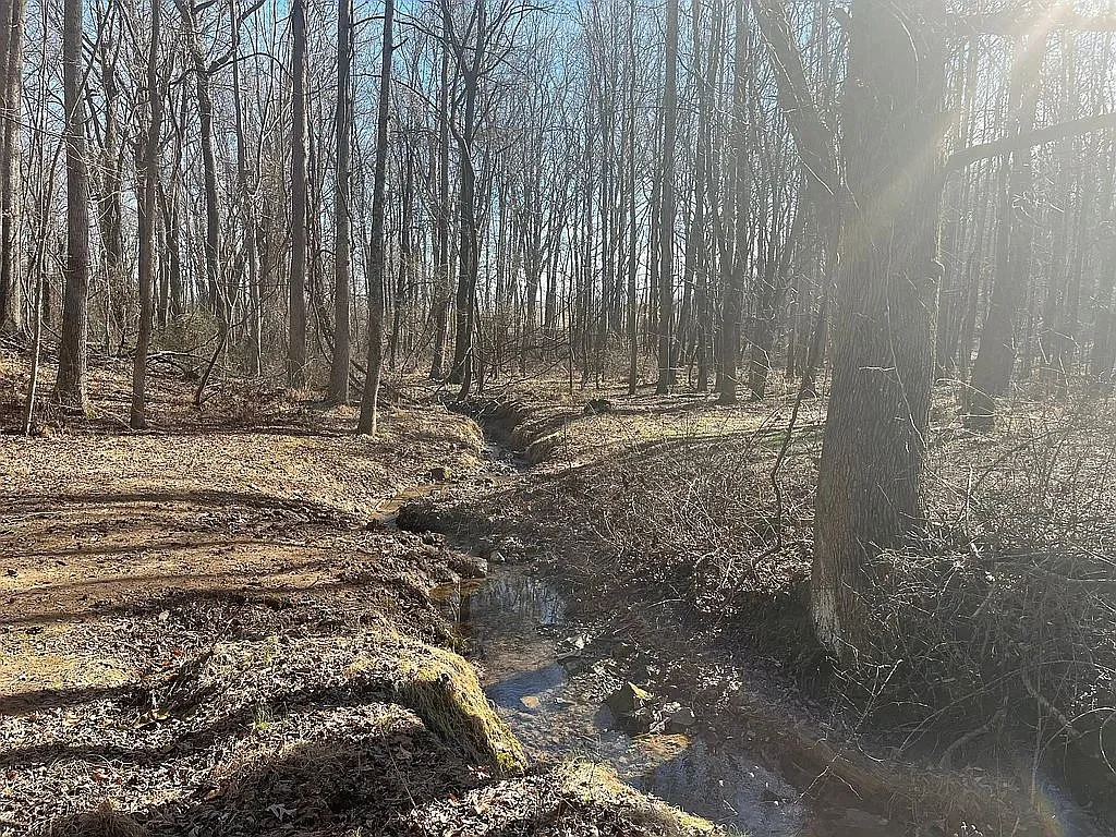 Photo of 926 Half Acre Rd