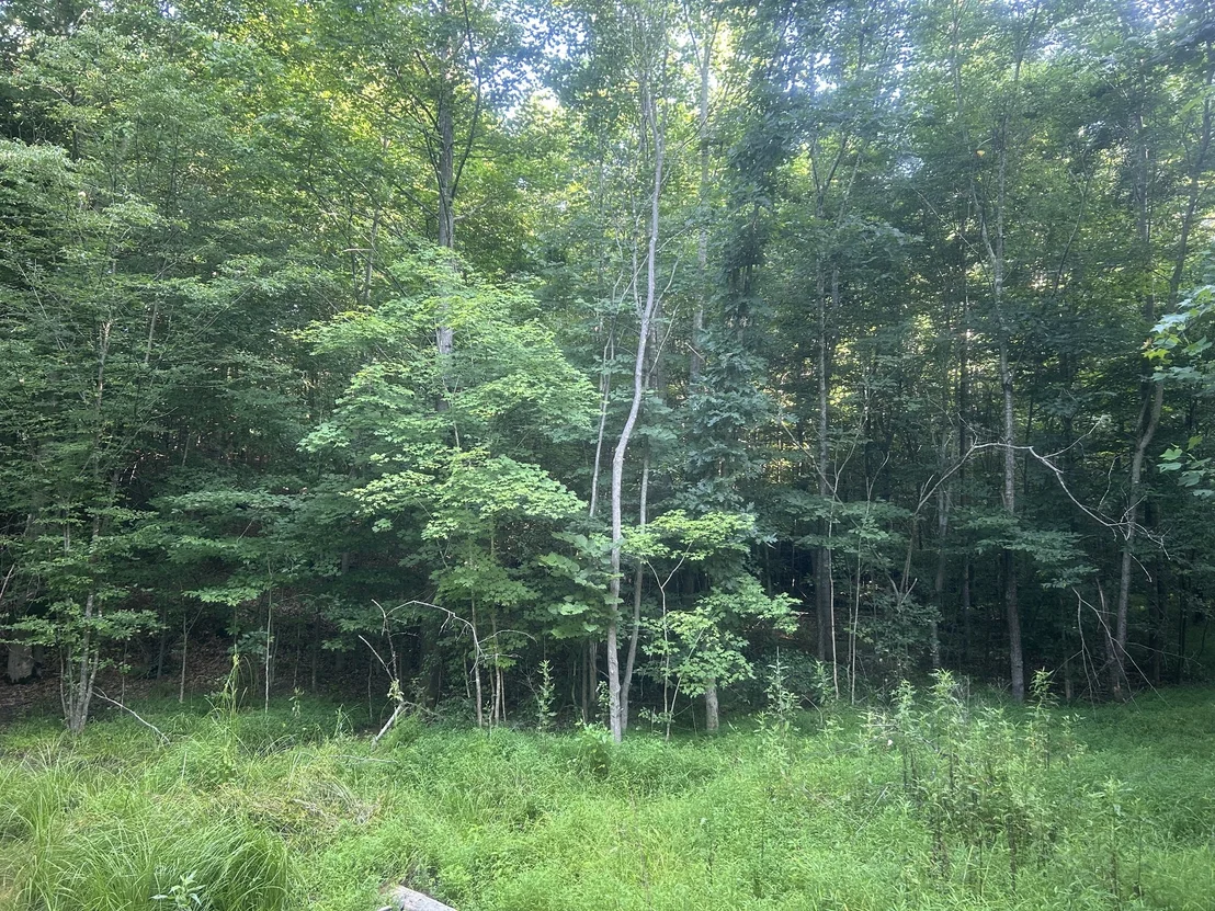 Photo of 2853 Old Natchez Trace Trail