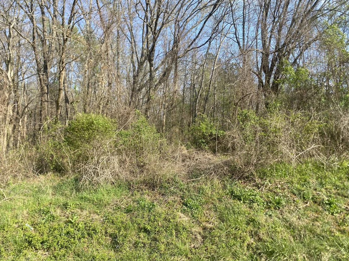 Photo of 0 Mountain View Drive