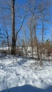 Photo of 1090 Brown Mill Rd