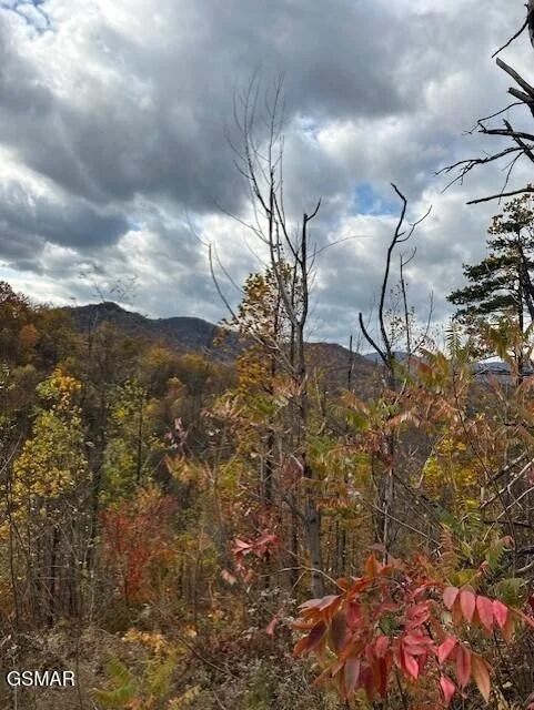 Photo of 3221 Emerald Springs Loop