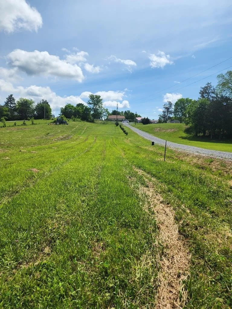 Photo of 16 Red Bud Lane