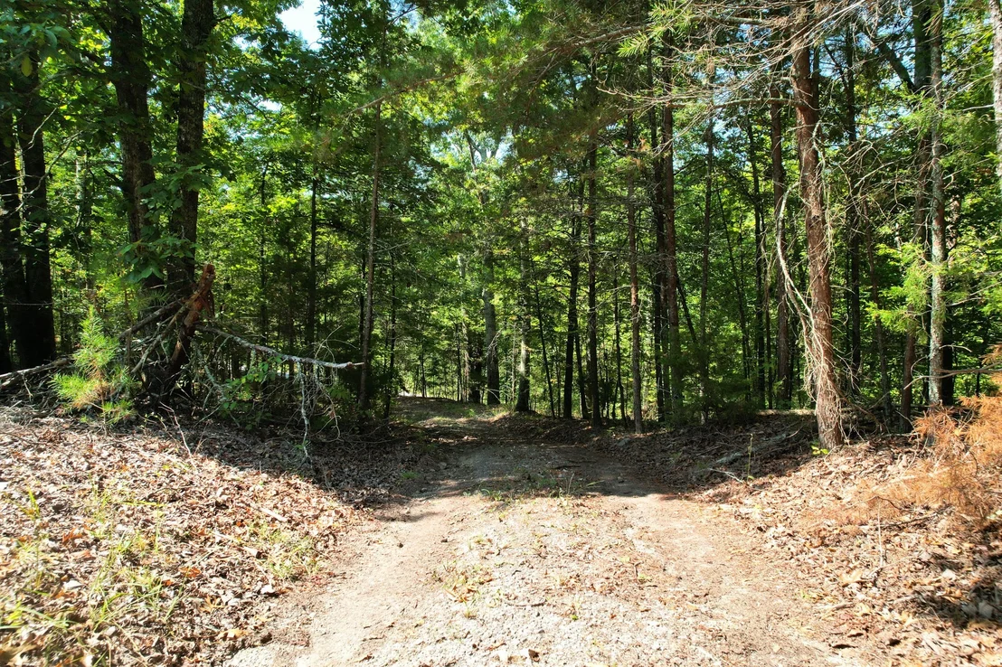 Photo of 358 County Road 42