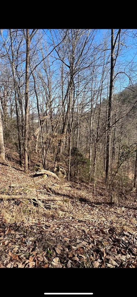 Photo of 350 Sugar Mountain Way