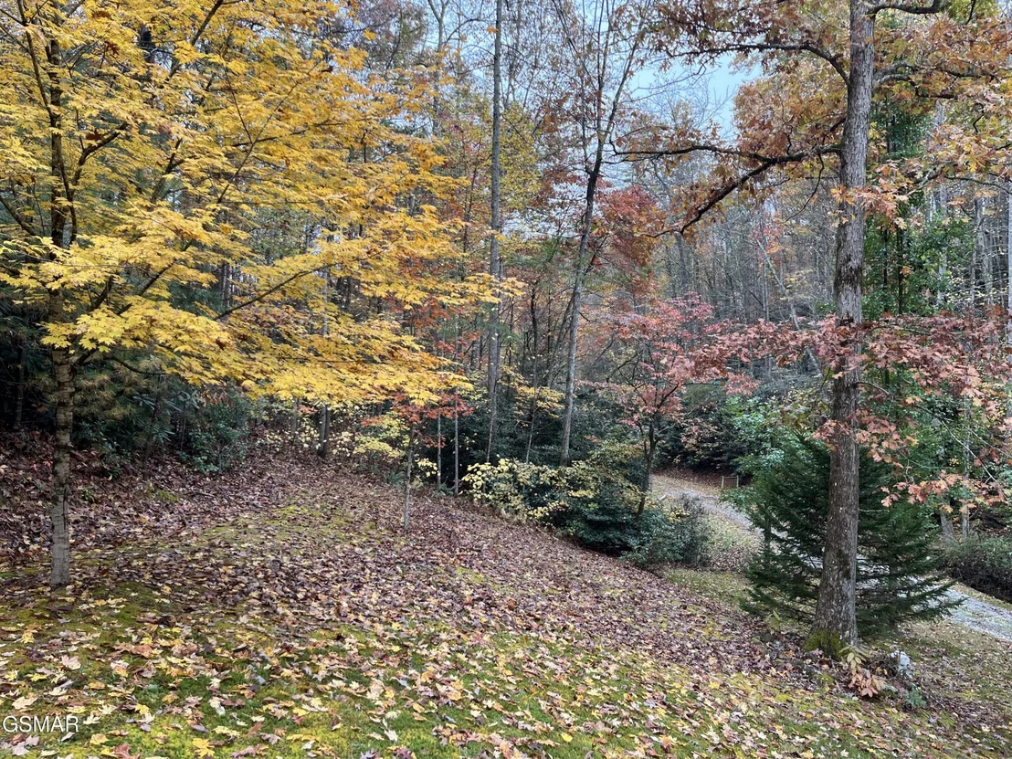 Photo of 4131 Suttons Road