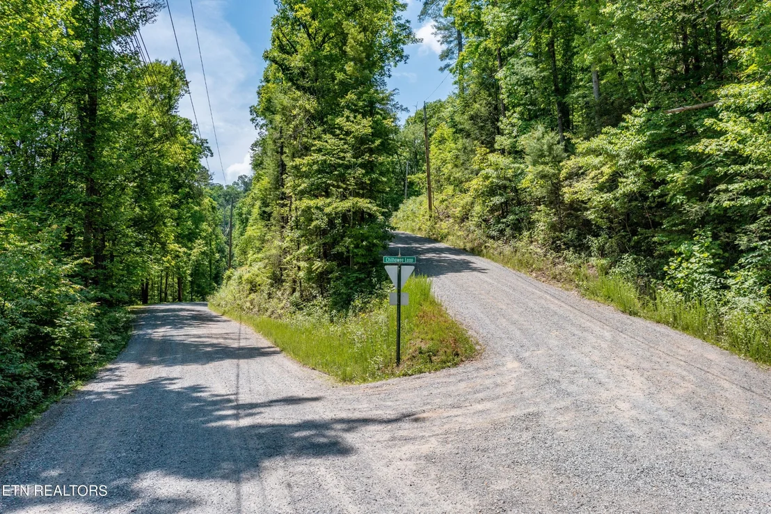 Photo of 0 Chilhowee Loop
