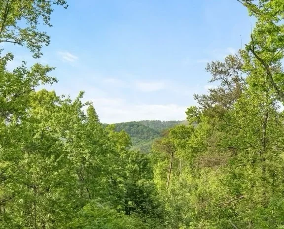 Photo of 0 Cloud View Drive