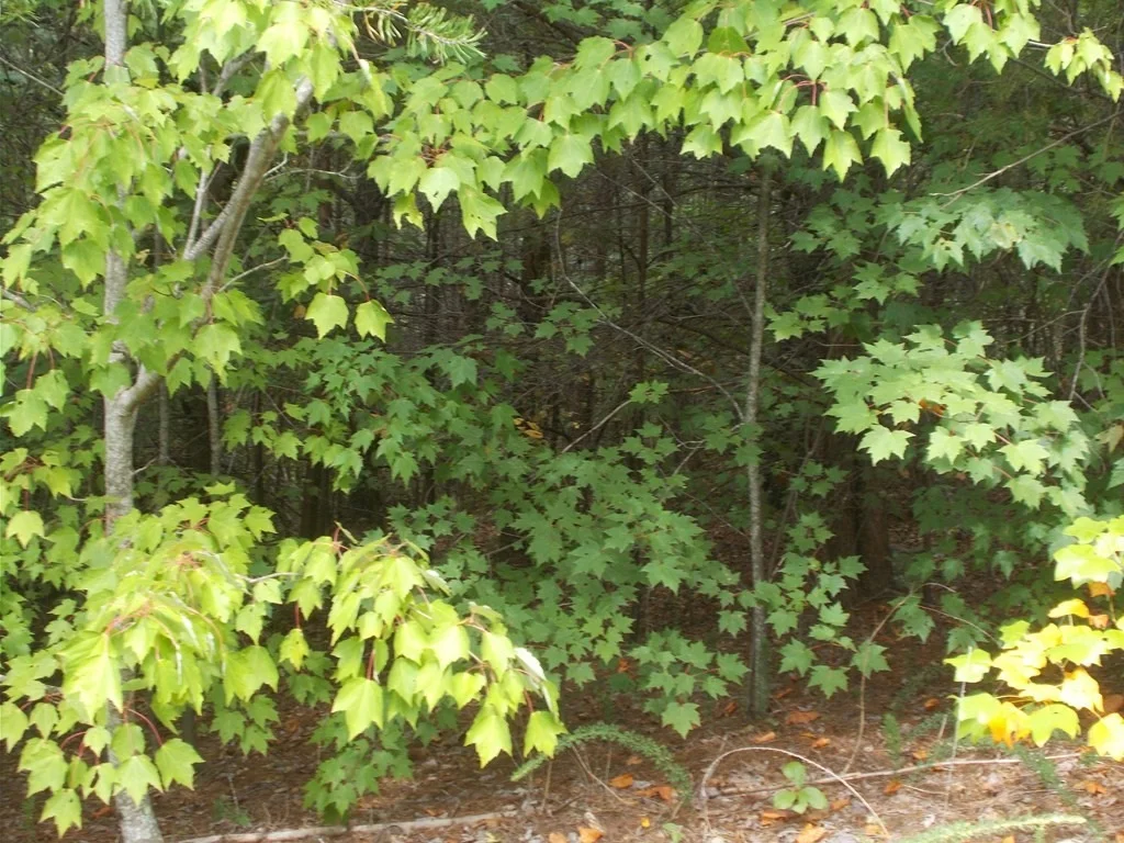 Photo of 0 Stackstone Road