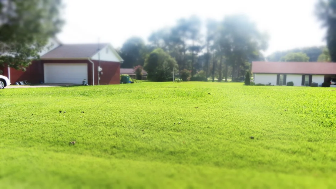 Photo of 19 Wallace Cv