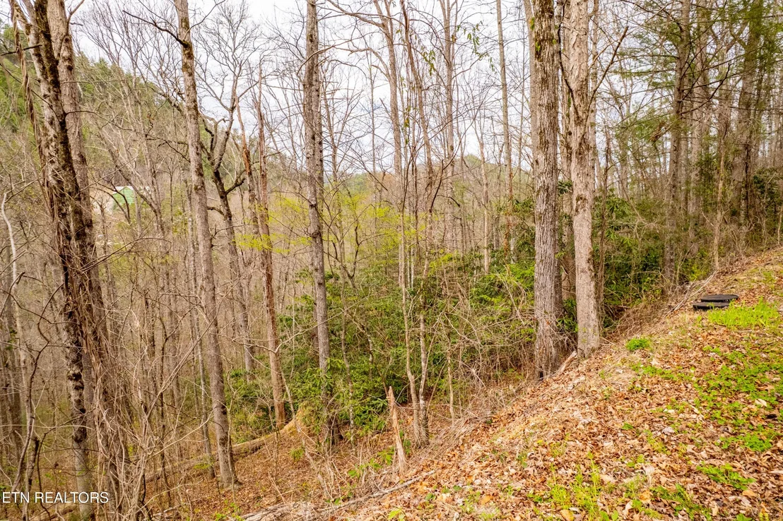 Photo of 483 Chetola Trail