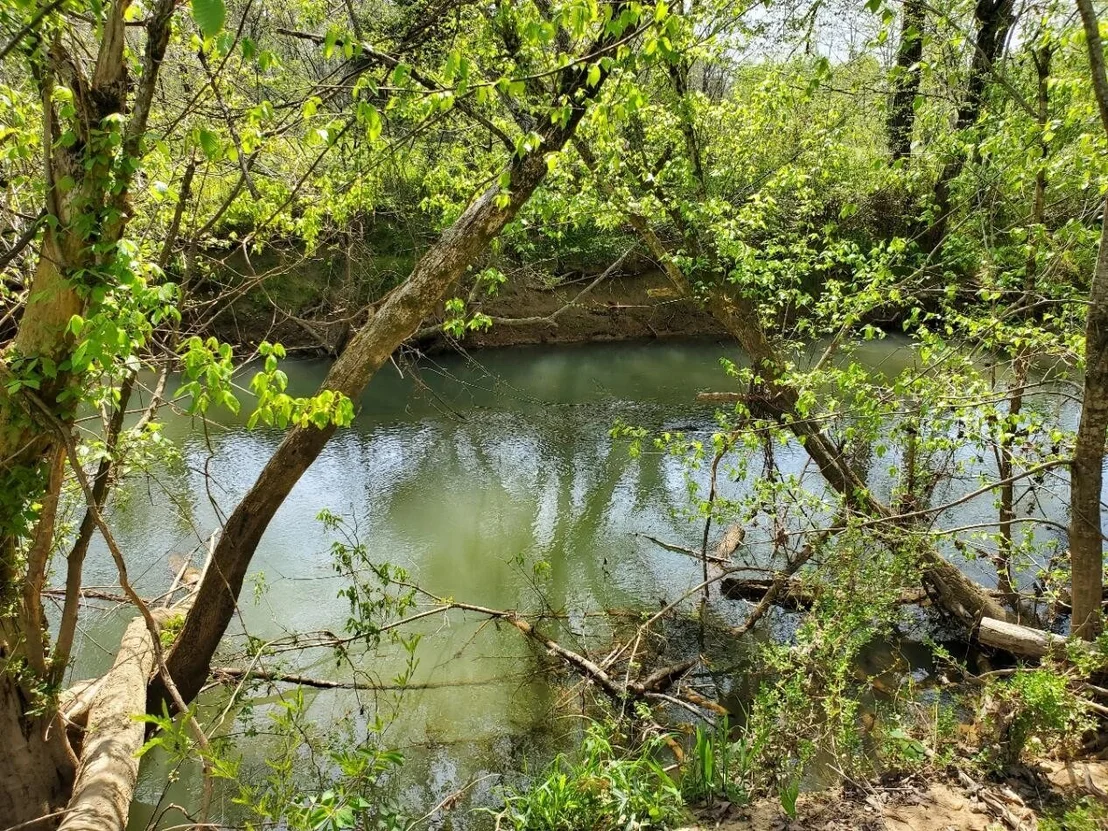 Photo of 1433 Chickadee Circle