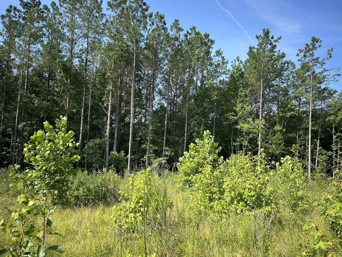 Photo of 2853 Old Natchez Trace Trail