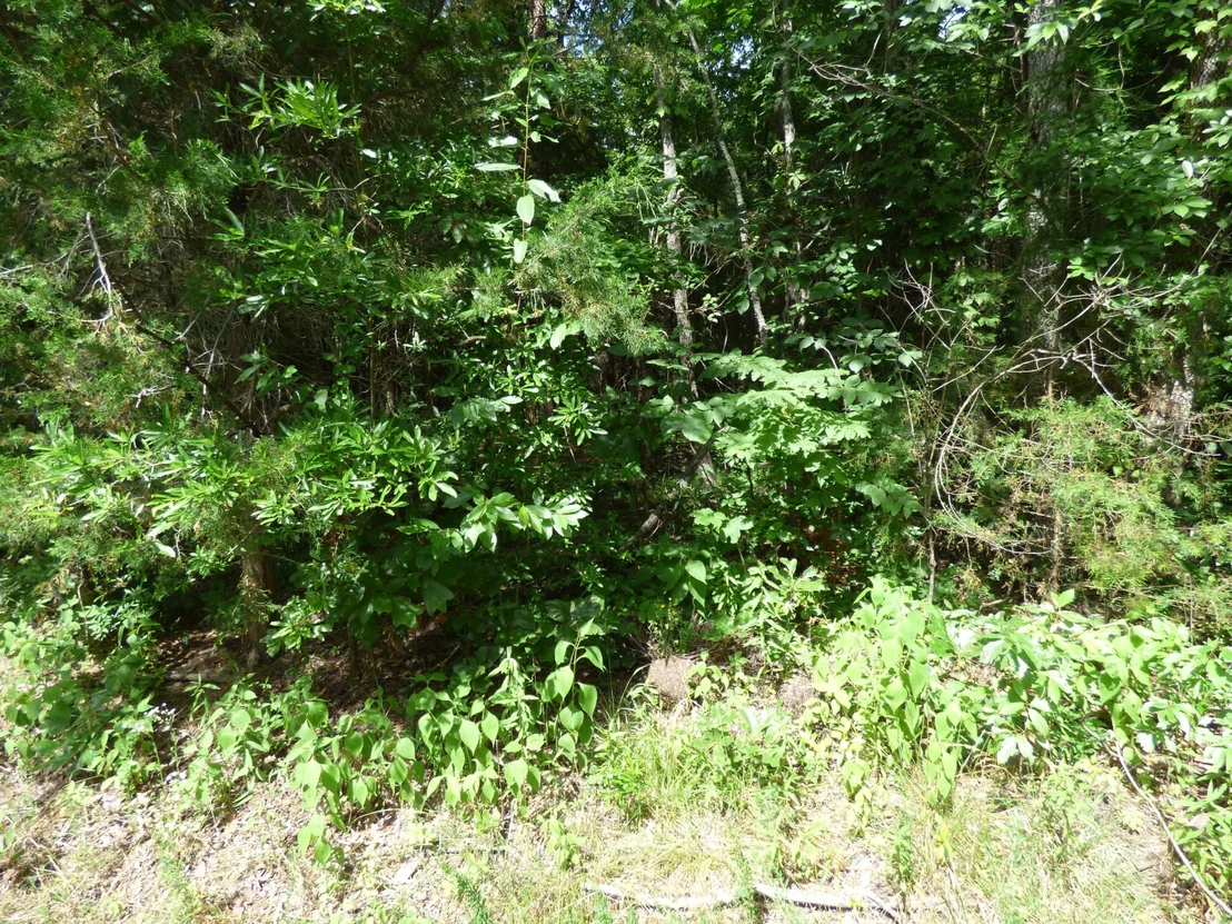 Photo of 1024 Mountain View Lane
