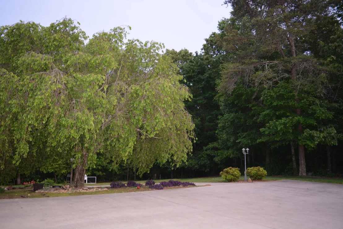 Photo of 466 County Road 264