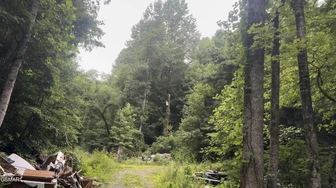 Photo of 1210 Laurel Lick Road