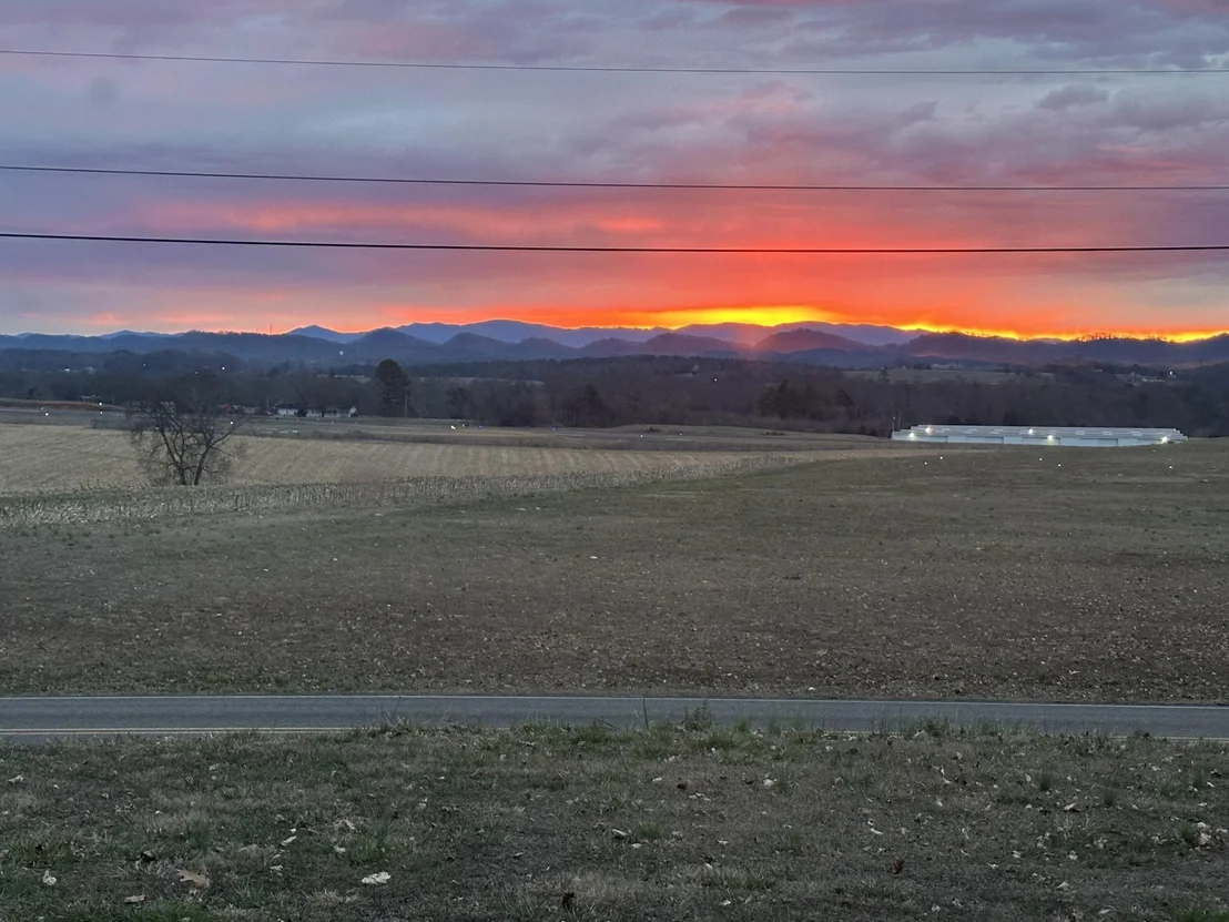 Photo of 155 County Road 556
