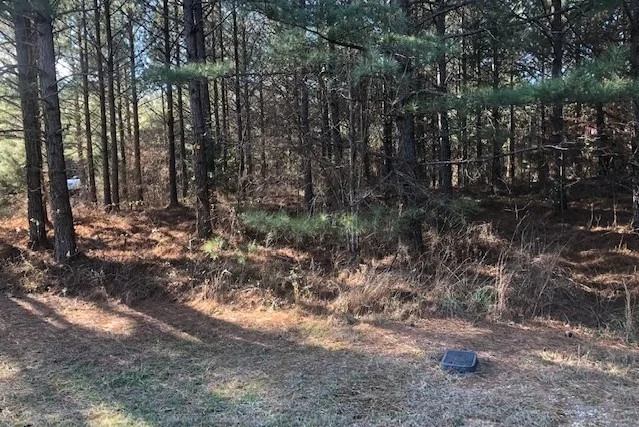 Photo of 155 White Water Run Lane