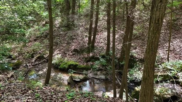 Photo of 34 Crowe Circle