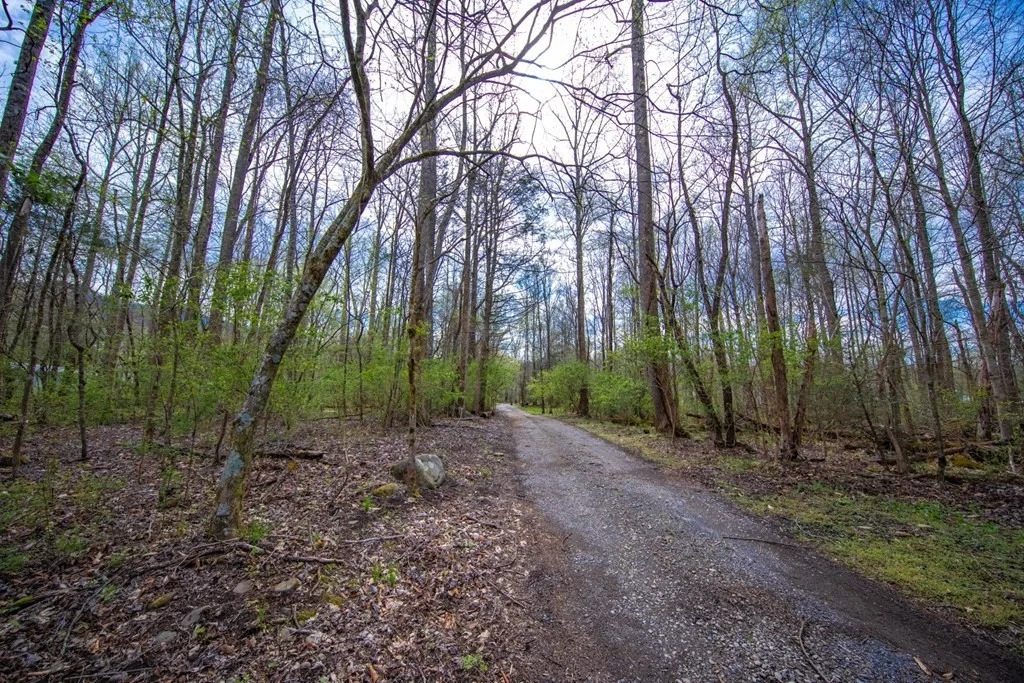 Photo of 234 Narrow Way
