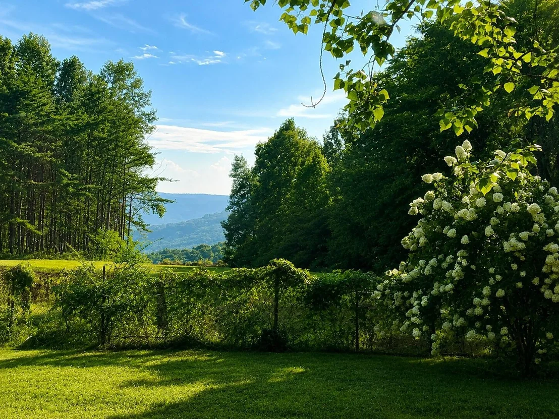 Photo of 1824 Jackson Point Road