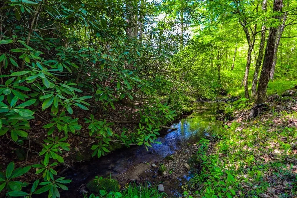 Photo of 247 Old 15th Road
