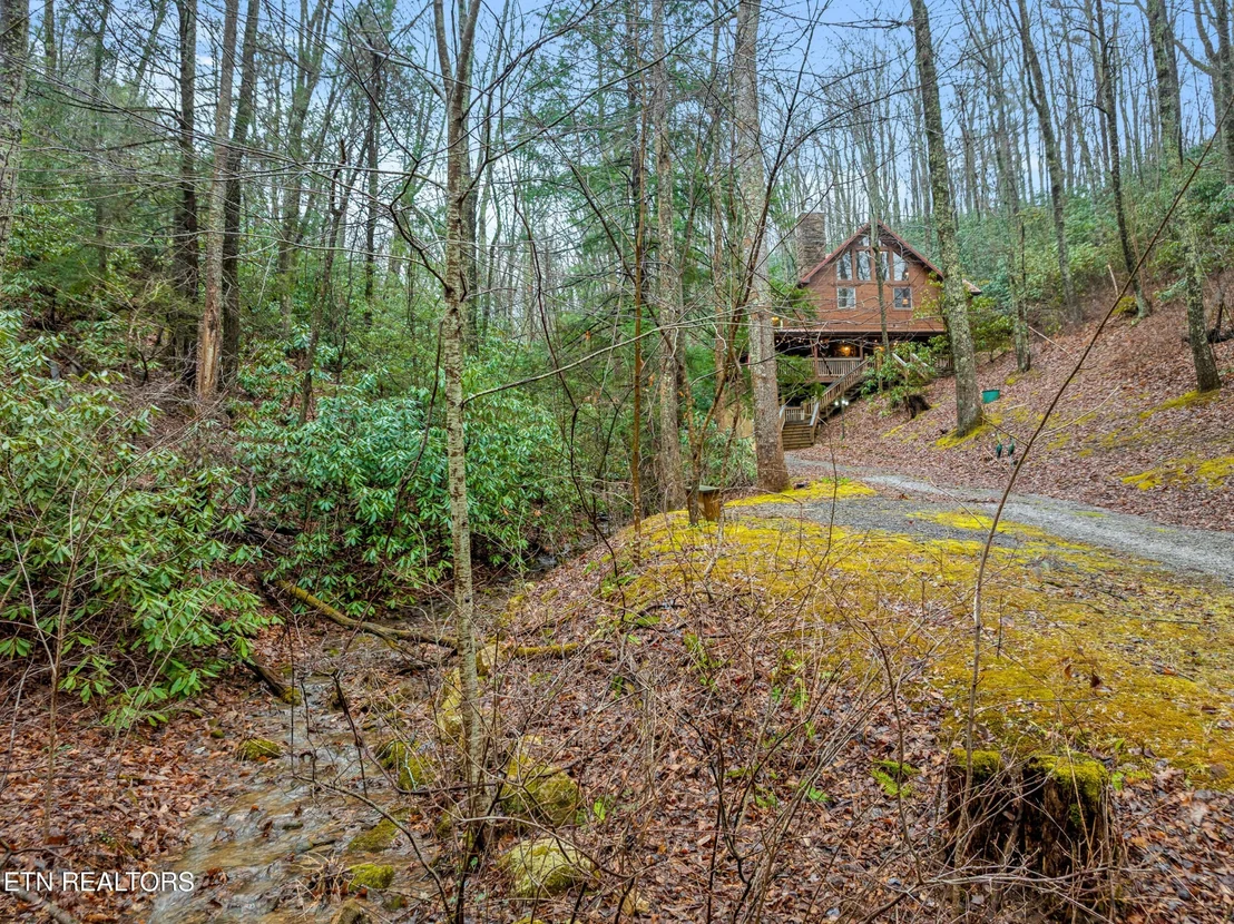 Photo of 3824 Bear Camp Way