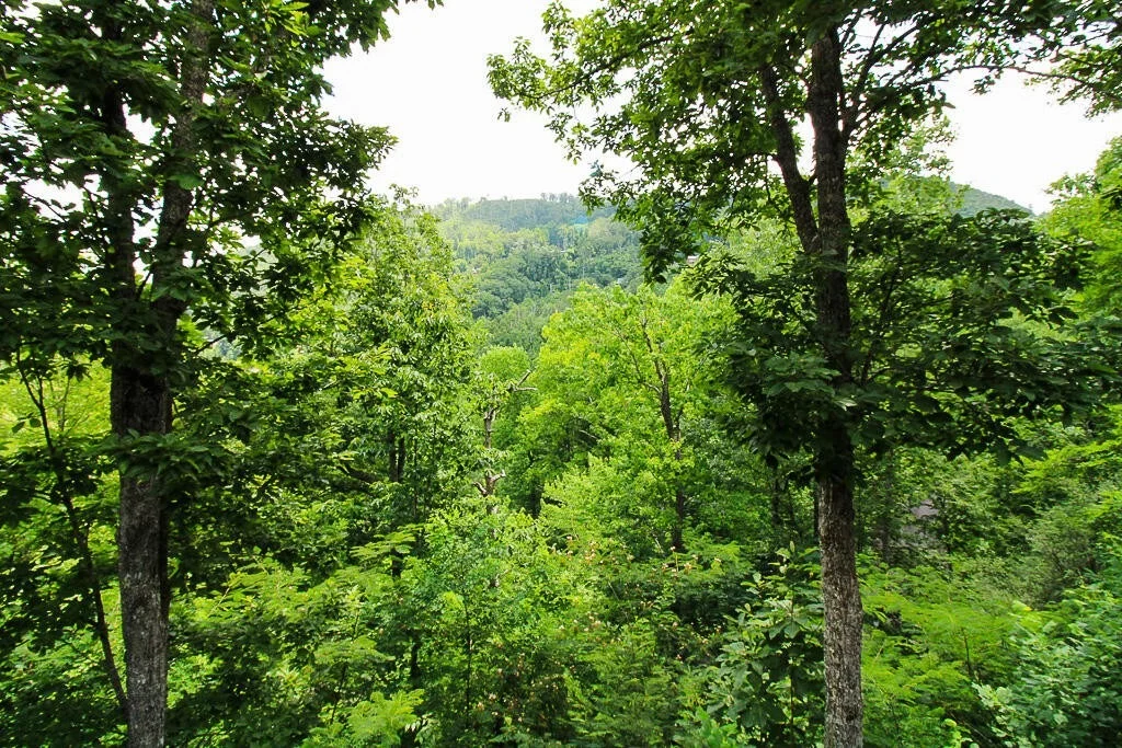 Photo of 443 Loop Road