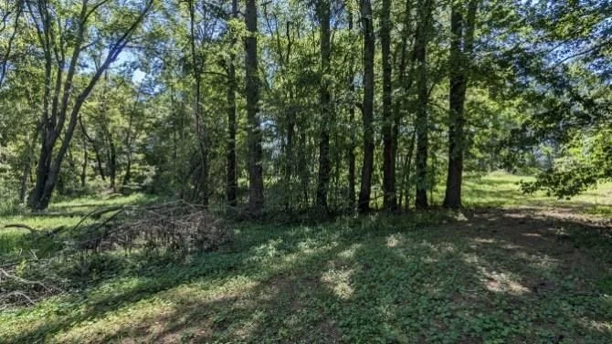 Photo of 237 Hugh Hunter Rd