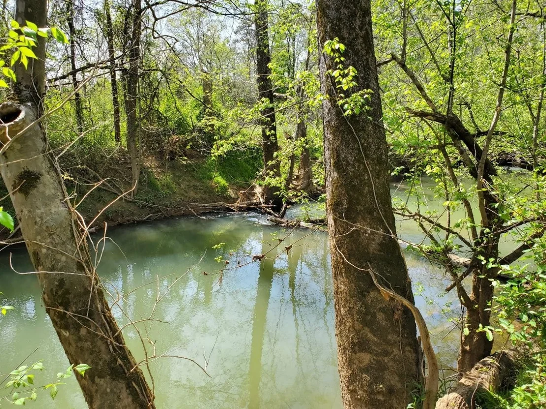 Photo of 1433 Chickadee Circle