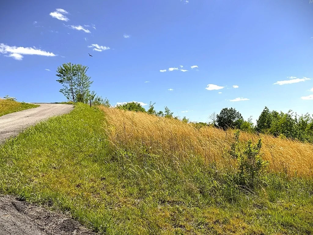 Photo of 100c Mallard Lane